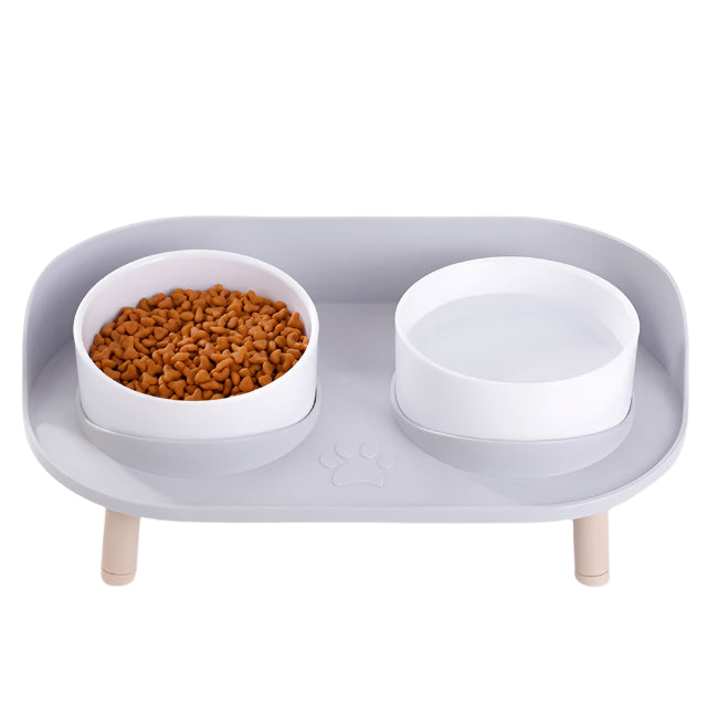 Elevated Double Pet Bowl | PetBesty