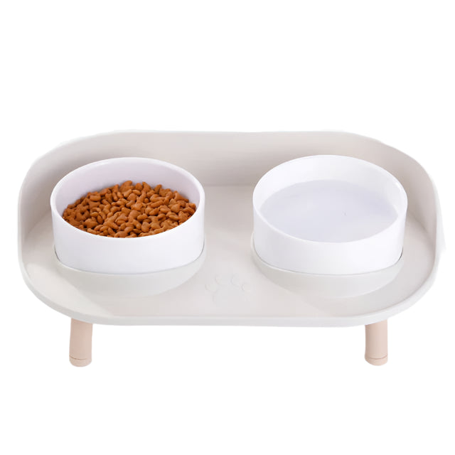 Elevated Double Pet Bowl | PetBesty