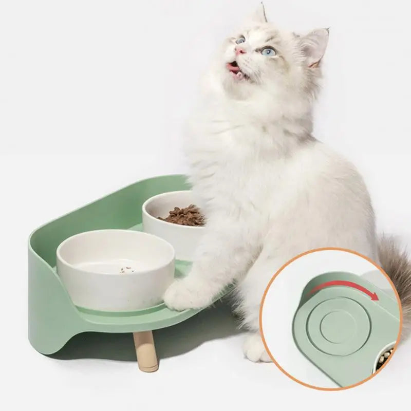 Elevated Double Pet Bowl | PetBesty