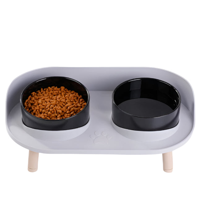 Elevated Double Pet Bowl | PetBesty