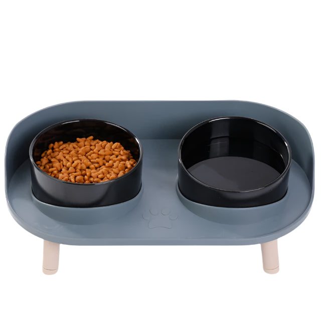 Elevated Double Pet Bowl | PetBesty