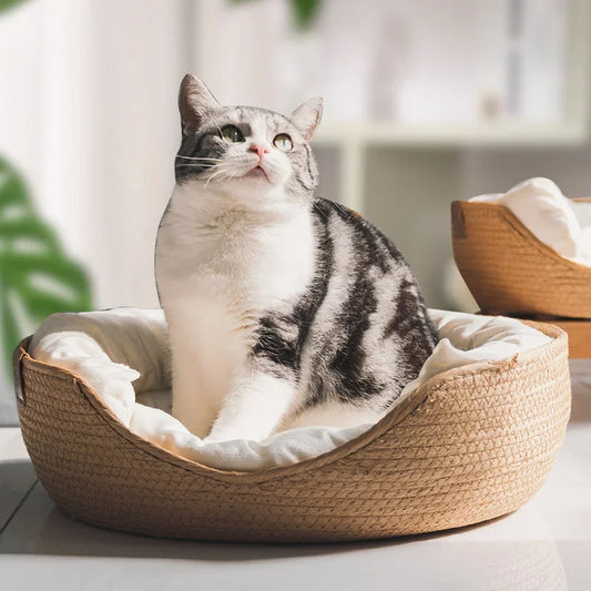 Handmade Wicker Pet Basket Bed with cushion