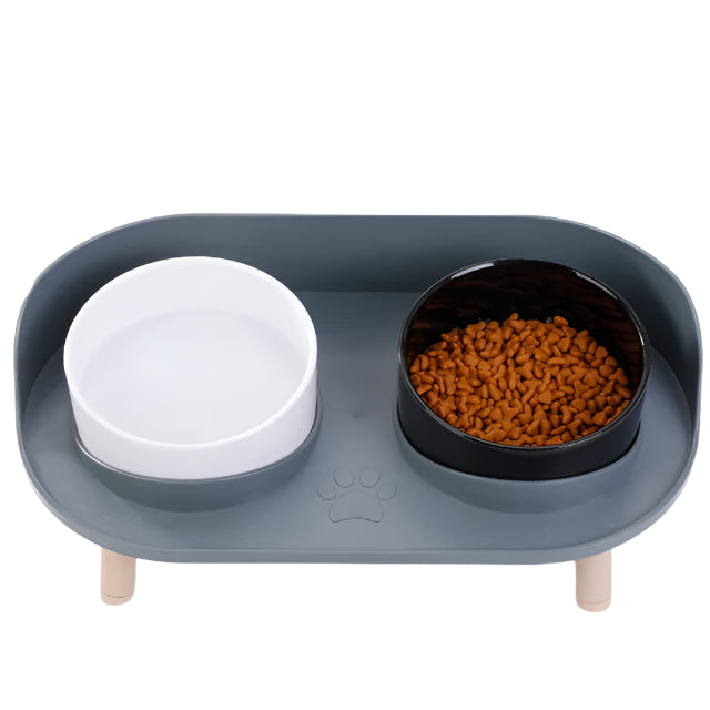 Elevated Double Pet Bowl | PetBesty