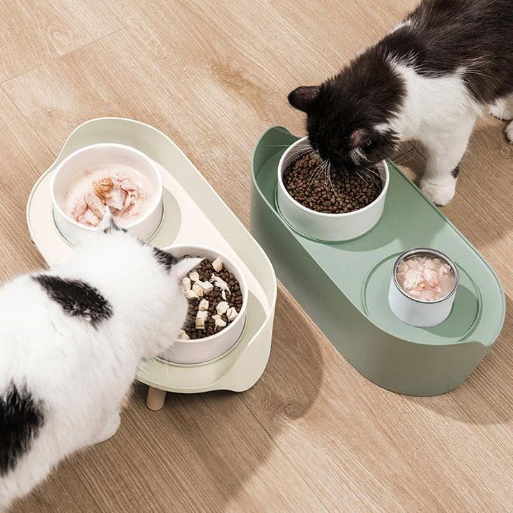 Elevated Double Pet Bowl | PetBesty