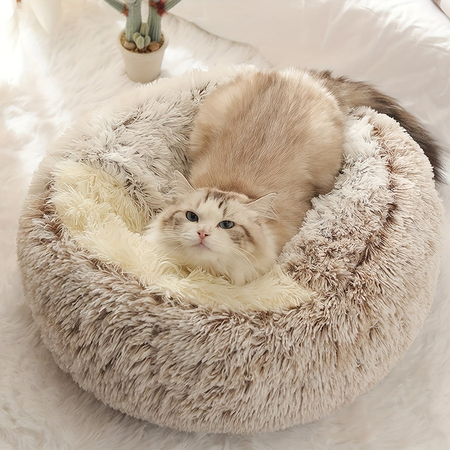 CozyHide Hooded Pet Bed